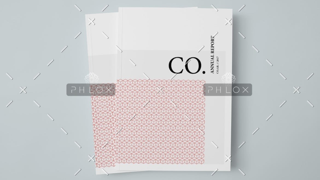 CO.-Annual-Report-1